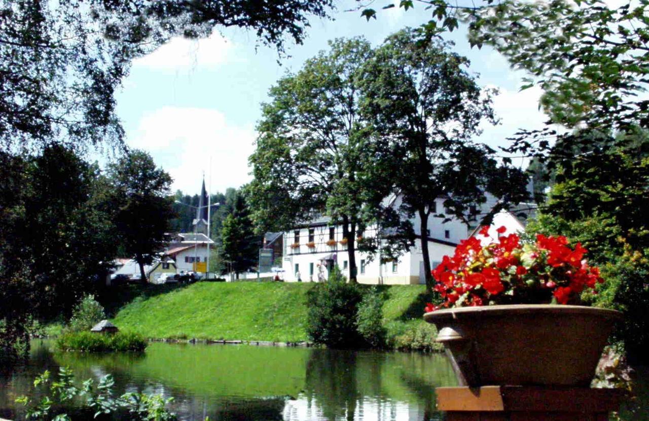 Hotel Gasthof Zum Walfisch Klingenthal Extérieur photo