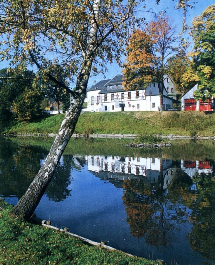 Hotel Gasthof Zum Walfisch Klingenthal Extérieur photo