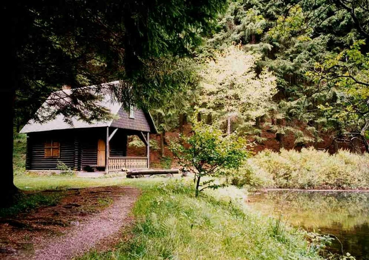 Hotel Gasthof Zum Walfisch Klingenthal Extérieur photo